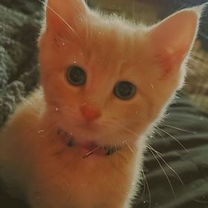 Meet your Posher, Terralynn